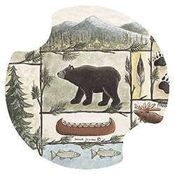 Cabin Fever Carsters - Coasters for Your Car