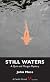 Still Waters: A Quin and Morgan Mystery (Castle Street Mysteries)