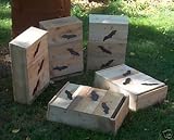 Extra Large Six Chamber Bat House 419kXeshyFL. SL160 Extra Large Six Chamber Bat House