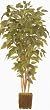 NEW! 78" Giant Artificial Alder Tree