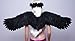 FashionWings (TM Adults' Black Wide Spread Costume Feather Angel Wings, Halo & Mask
