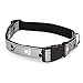 Casual Canine Reflect Pawprint Dog Collar, Fits Necks 18