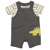 Carter’s Dinosaur & Stripe Shortall Set