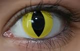 CAT EYE - PAIR OF FUNKY CONTACT LENSES