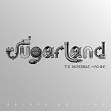Sugarland The Incredible Machine