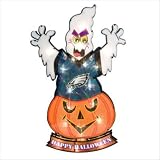 Baltimore Ravens Ghost Light-Up Lawn Stake 20