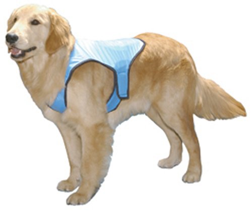 Cool Vest&reg; Orange Large