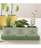 italian herb garden