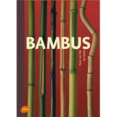 Bambus