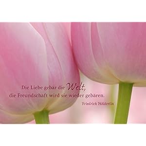 365 Tage Freundschaft