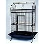 Parrot Cage