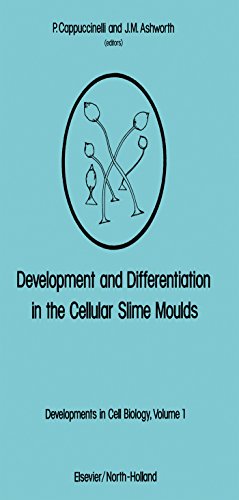 Development and Differentiation in the Cellular Slime Moulds: Proceedings of the International Workshop Held at Porto Conte, Sardinia on 12-16 April, 1977 (Developments in cell biology)