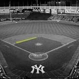 Authentic Yankee Stadium Outfield Sod 20x20
