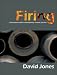 Firing: Philosophies within Contemporary Ceramic Practice: Philosophies Within Contemporary Ceramic Practice