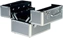 Beauty Box St Tropez Silver Cosmetics & Make-up Beauty Case