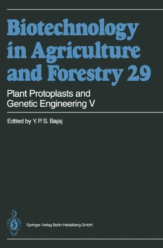 Plant Protoplasts and Genetic Engineering V: 005 (Biotechnology in Agriculture and Forestry)