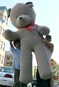 BIGGEST TEDDY BEAR ONLINE - 8 FEET TALL GIANT TEDDY BEAR BIG STUFFED ANIMAL PLUSH JUMBO - AMERICAN MADE IN THE USA ALL GIANT TEDDY BEAR BIG STUFFED ANIMAL PLUSH JUMBO - AMERICAN MADE IN THE USA AMERICA - COLOR: GRAY