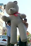 BIGGEST TEDDY BEAR ONLINE - 8 FEET TALL GIANT TEDDY BEAR BIG STUFFED ANIMAL PLUSH JUMBO - AMERICAN MADE IN THE USA ALL GIANT TEDDY BEAR BIG STUFFED ANIMAL PLUSH JUMBO - AMERICAN MADE IN THE USA AMERICA - COLOR: GRAY
