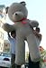 Search : BIGGEST TEDDY BEAR ONLINE - 8 FEET TALL GIANT TEDDY BEAR BIG STUFFED ANIMAL PLUSH JUMBO - AMERICAN MADE IN THE USA ALL GIANT TEDDY BEAR BIG STUFFED ANIMAL PLUSH JUMBO - AMERICAN MADE IN THE USA AMERICA - COLOR: GRAY