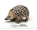 Little Critterz Hedgehog Tiggy - Multicolor Collectible Home Decor Animal Miniature Porcelain Figurine