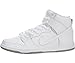 NIKE DUNK HIGH PRO SB Mens Sneakers 305050-113