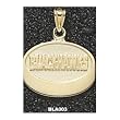Chicago "Blackhawks" Puck Charm/Pendant