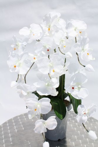 人工観葉植物・造花・胡蝶蘭７本立て光触媒品コストゼロの空気清浄機
