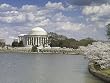 A Jefferson Memorial Springtime Photograph - Beautiful 16"x20" Photographic Print by Carol M. Highsmith