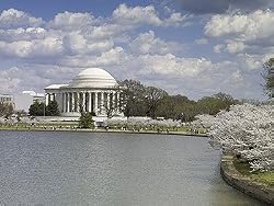 A Jefferson Memorial Springtime Photograph - Beautiful 16"x20" Photographic Print by Carol M. Highsmith