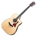 Taylor��410CE�����������ƥ��å�������