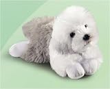 Shaw the Sheepdog