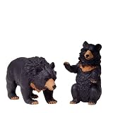 BEAR (BLACK ASIATIC) by Noah's Pals