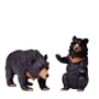 BEAR (BLACK ASIATIC) by Noah's Pals