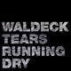 Tears Running Dry - The Mixes