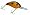 Baby Carp