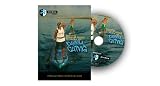 Mastering Stand Up Paddle (SUP) Technique with Danny Ching Instructional SUP DVD