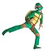 Search : Kids Raphael Costume
