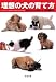 理想の犬(スーパードッグ)の育て方 (文春文庫)