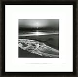 Birds On a Beach By Ansel Adams FRAMED 17 x 17