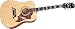 Epiphone Dove Acoustic Guitar, Ebony Chrome Hardware