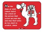 Laughter Revolution Sign Fleas/Camel (Pack of 5)