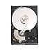 Western Digital 80 GB SATA internal hard drive with cool and quiet operation [Amazon Frustration-Free Packaging]