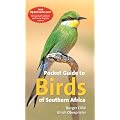 Pocket Guide to Birds of Southern Africa
