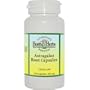 Alternative Health & Herbs Remedies Astragalus Root Capsules, 240-Count Bottle
