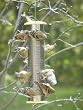 1 Quart Stainless Steel Goldfinch Feeder