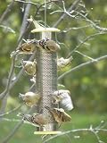 1 Quart Stainless Steel Nyjer Feeder