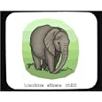 Mouse Pad with africa, trunk, jungle, loxodonta, africana, elephant, animal, african