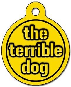 Steelers Terrible Pet ID Tag for Dogs and Cats - Dog Tag Art