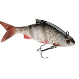419p FYpHhL. SL160  Storm Live Kickin Shad 05 Fishing Lure, Bleeding Roach