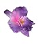 7 ORCHID FLOWER HAIR CLIP XLG - MADE IN HAWAII